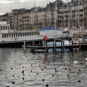 2011-01-svajcarska