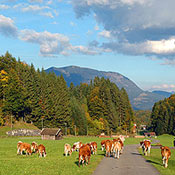 Deutschland2005/GarmischPartenkirchen