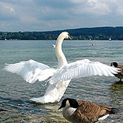 Deutschland2005/StarnbergerSee