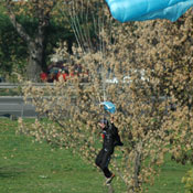 airShow2008