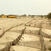 april2007/Camargue