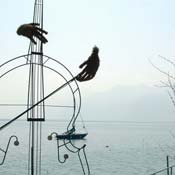 april2007/Vevey_Montreux