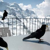 april2007/Zermatt_Gornergrat