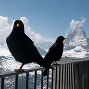 april2007/Zermatt_Gornergrat