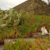 april2007/cadaques_Port_Lligat