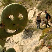 april2007/cadaques_Port_Lligat