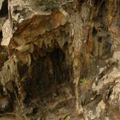 april2007/cadaques_Port_Lligat