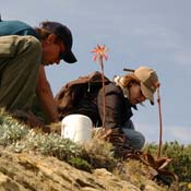 april2007/rocks_cadaques