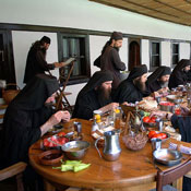 decani/zivot