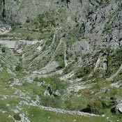 primatijada2005